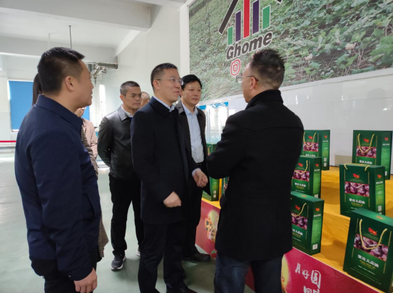 市委常委、組織部部長、統(tǒng)戰(zhàn)部部長龔紅果蒞臨天香生物調(diào)研