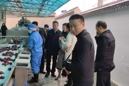 市委常委、組織部部長、統(tǒng)戰(zhàn)部部長龔紅果蒞臨天香生物調(diào)研