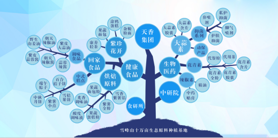 市委常委、組織部部長、統(tǒng)戰(zhàn)部部長龔紅果蒞臨天香生物調(diào)研
