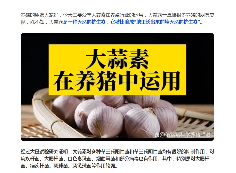 大蒜素在養(yǎng)豬行業(yè)的運(yùn)用，您了解多少？