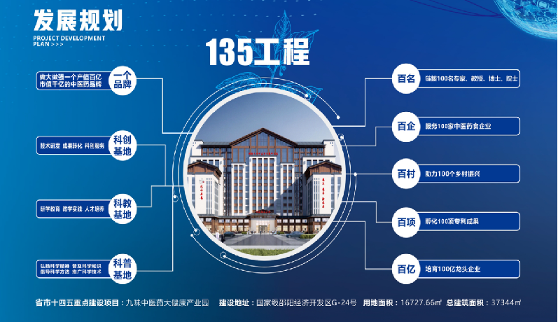 種下梧桐樹，引得鳳凰來